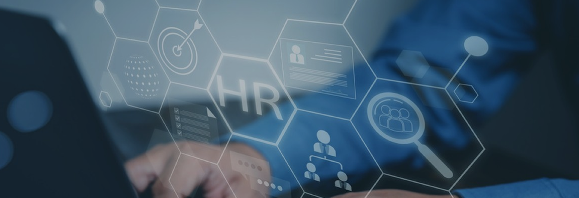 菠菜担保网·(中国区)官方网站